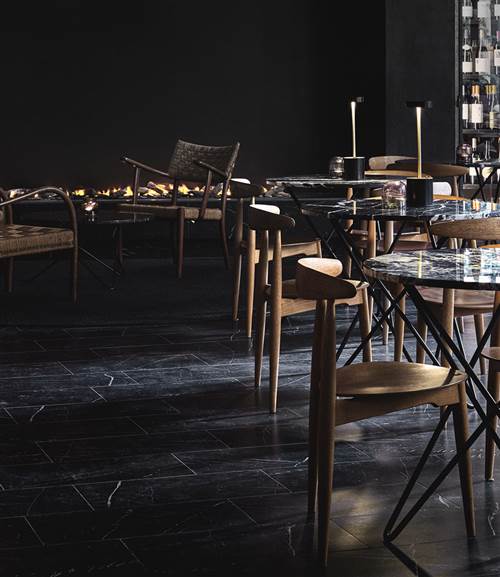 Hotel Danmark Indoor Vineyard