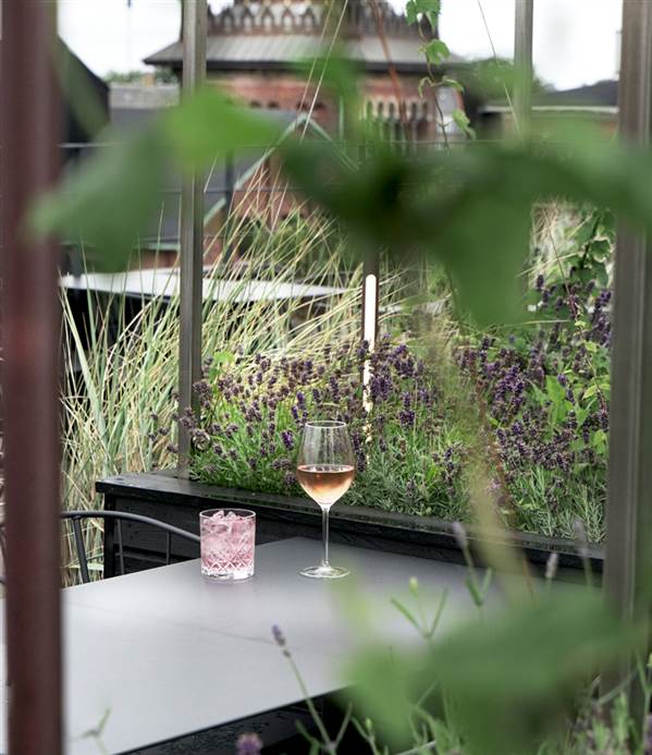 HotelOttilia RooftopTerraceRestaurant