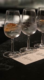 Hotel Ottilia Signature Gin Bar