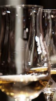 Hotel SP34 Lobby Bar Copenhagen - White Wine Glasses Closeup