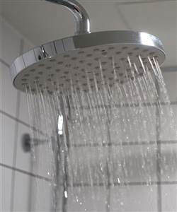 Shower Detail